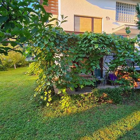 Apartment Ajdna Zirovnica Exterior photo